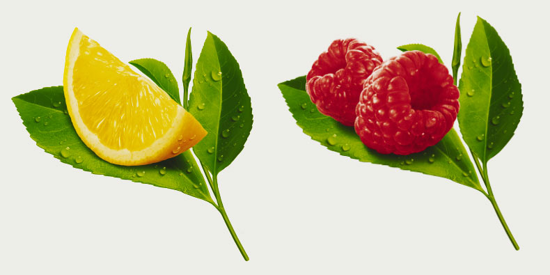 Lipton Ice Tea - Fruit Illu
